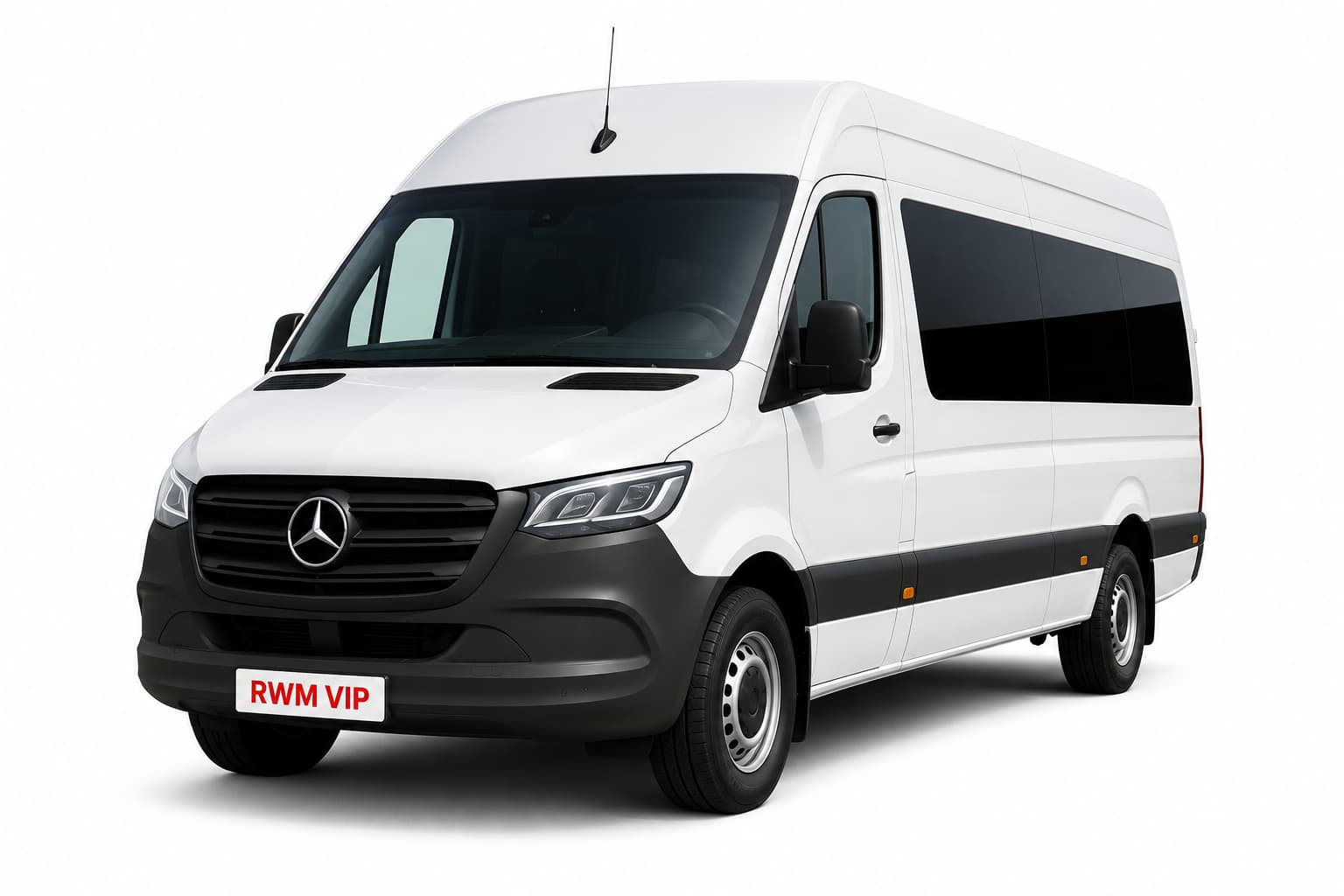 Executive Coaches